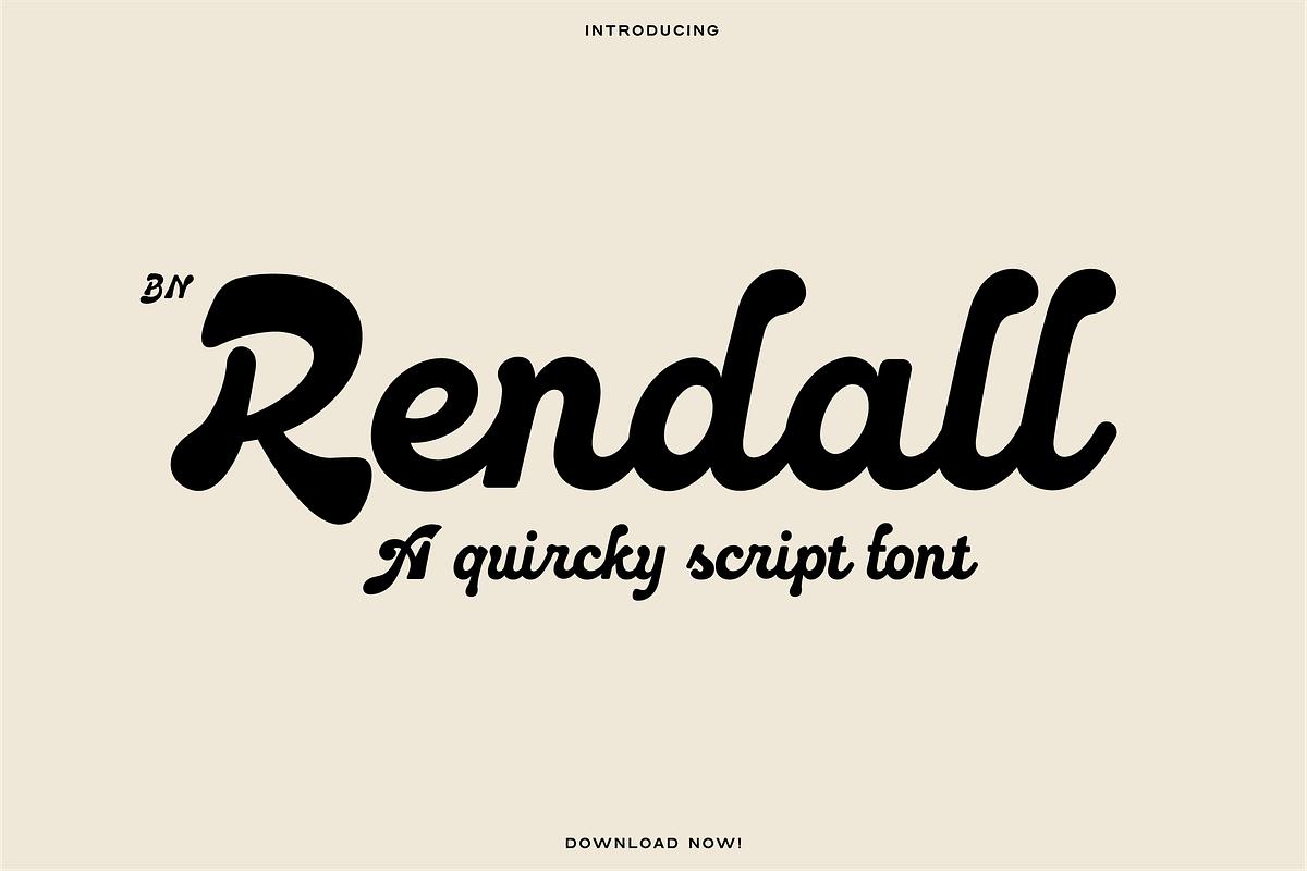 The Diverse Font Bundle, a Sans Serif Font by Bnick (Photo 17 of 34)
