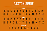 Easton Sans & Serif, a Sans Serif Font by the Red Rocket Rebellion (Thumbnail 4 of 7)