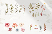 Magic Flowers - watercolor collectio, an Object Graphic by Julia M. Watercolor (Thumbnail 3 of 14)