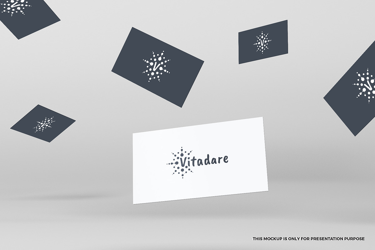 Vitadare logo, a Branding & Logo Template by MuzaInspires (Photo 5 of 5)