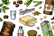 Soya beans. Tofu, nuts, Seeds draw, a Food Illustration by Arthur Balitskiy (Thumbnail 2 of 4)