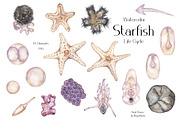 Watercolor Starfish Life Cycle Set, an Education Illustration by MayaNavits (Thumbnail 3 of 8)