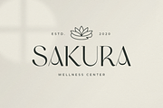 Original - Classy Branding Font, a Serif Font by Sensatype (Thumbnail 12 of 19)