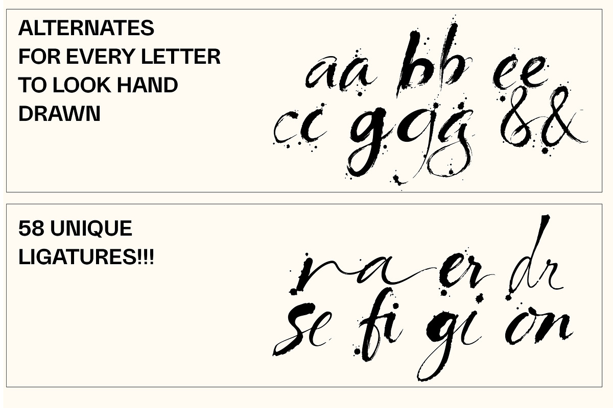 Spilt Milk Brush Font, a Handwritten Font by Tropical Type (Photo 9 of 9)