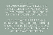 Catherine Pearson, a Serif Font by Cruzine (Thumbnail 7 of 8)