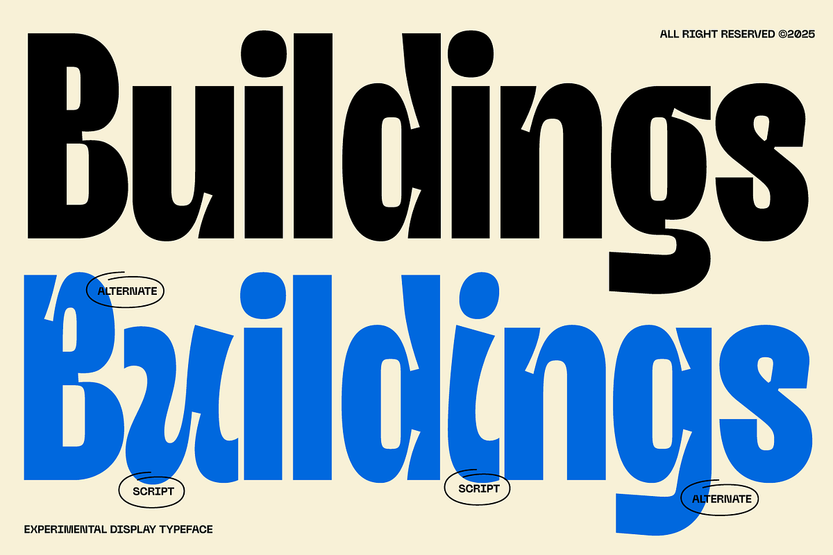 Nobulina - Experimental Display Font, a Sans Serif Font by Zarma Type (Photo 2 of 16)