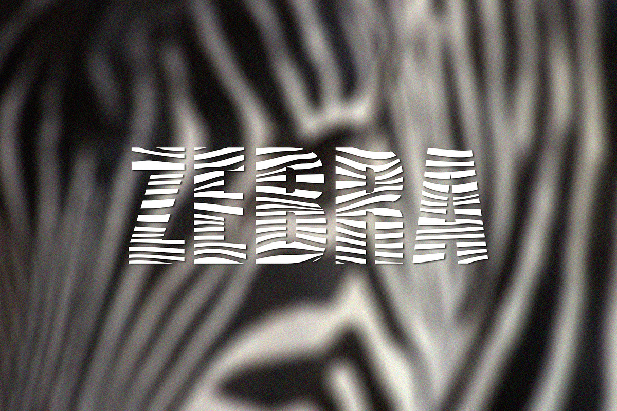 Zebra Sans Serif, a Sans Serif Font by Nickhard (Photo 1 of 7)