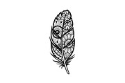 Ornamental Feather SVG Bundle, an Illustration by yasushie (Thumbnail 6 of 31)