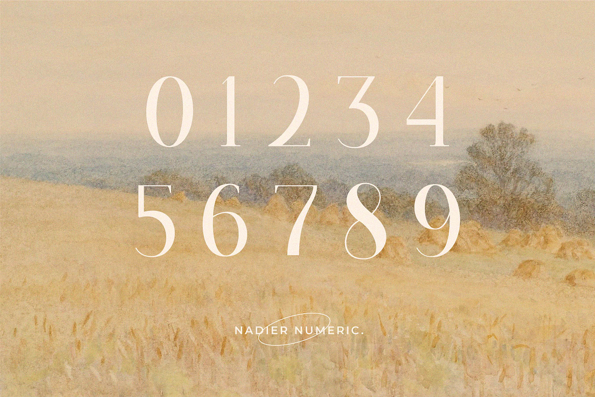 Nadier - Classic Retro Typeface, a Serif Font by Flawless And Co (Photo 9 of 12)