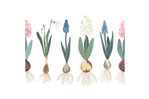 Botanical seamless border design, an Object Illustration by Toltemara