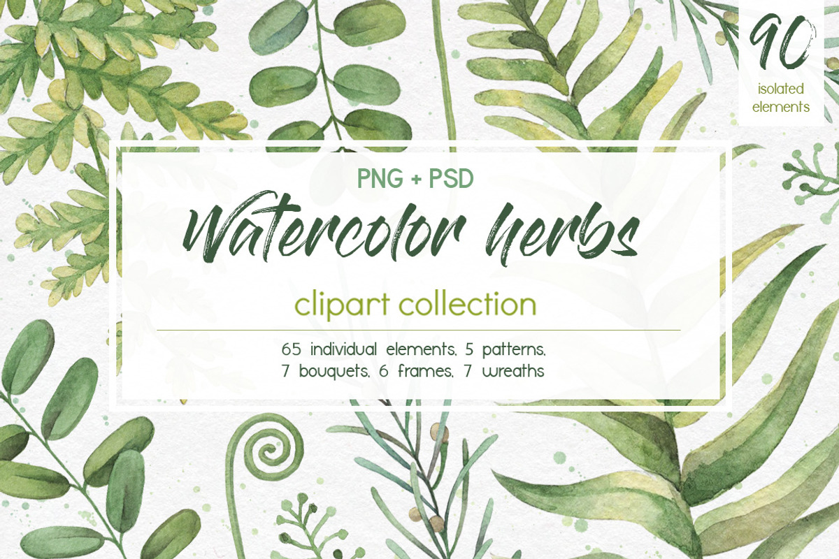 Watercolor herbs. Clipart collection, an Illustration by Anastasia Koba (Photo 1 of 9)