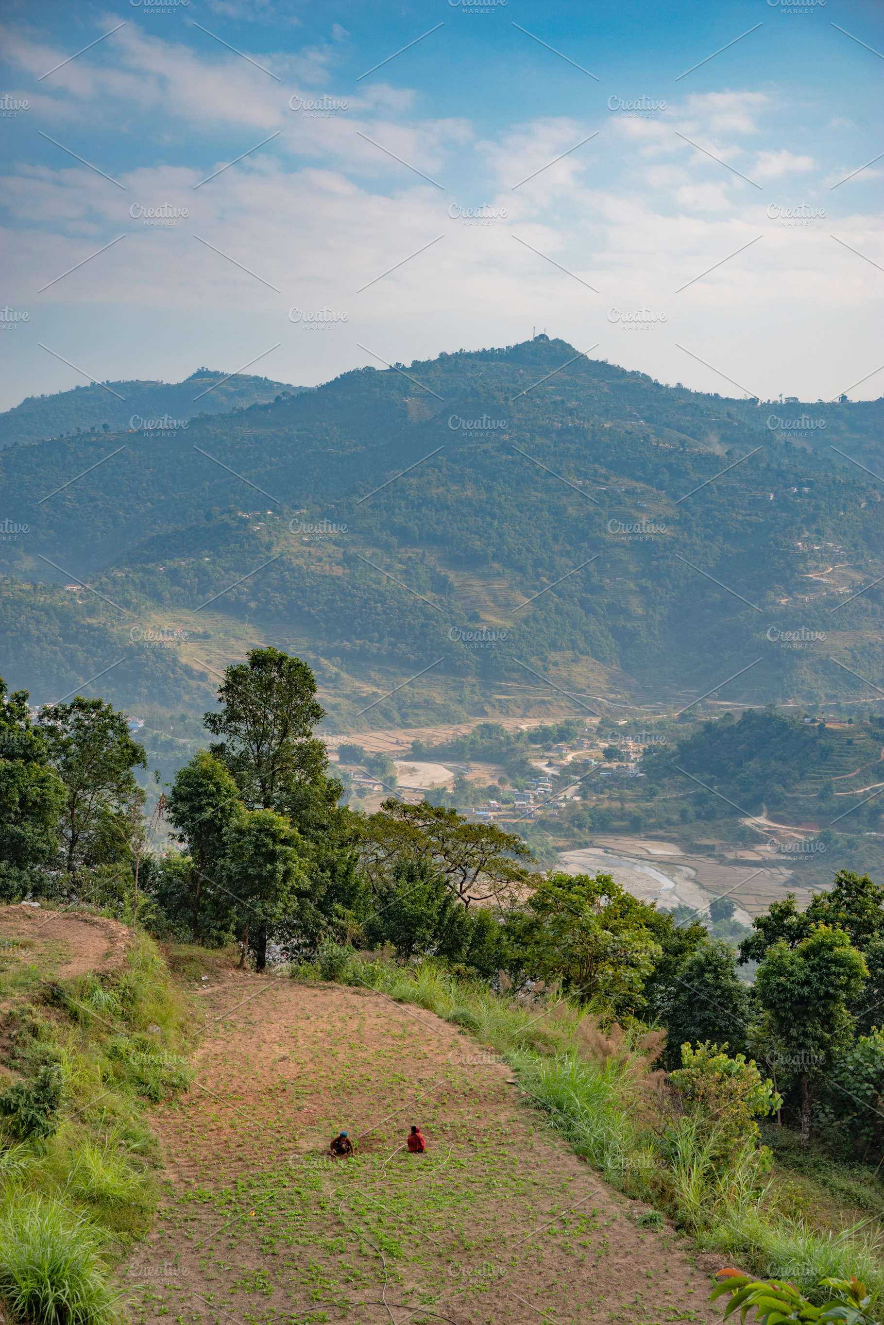 rural fields in the himalayas, a Photo by Pictures for you!!!!!!!!!