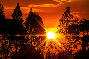 33 Golden Transparent Png Light Lens, a Shape Add-On by MRI STUDIO (Thumbnail 8 of 17)