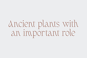 Fernhead Decorative Serif Font, a Serif Font by Headfonts (Thumbnail 2 of 11)