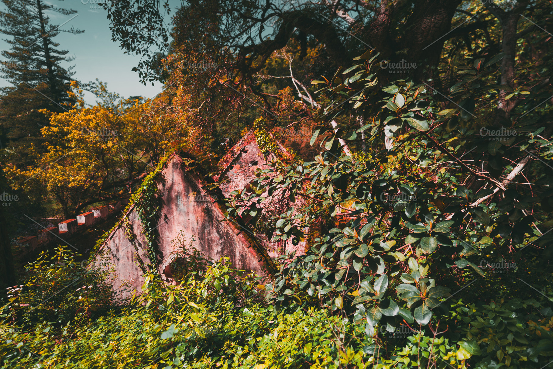 Ruined house in Sintra forest, an Architecture Photo by SkyNext