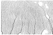 Growth - 50 Backgrounds, a Texture Graphic by GarryKillian (Thumbnail 49 of 51)