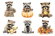 Watercolor Raccoon & Kit Clipart, an Illustration by CreationArt (Thumbnail 5 of 5)