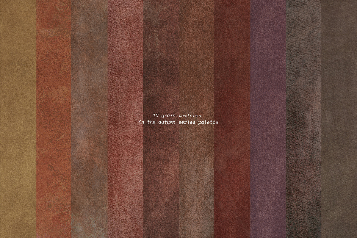 Lull · Brown Botanical Autumn Series, a Background Graphic by alonahaidash (Photo 12 of 16)