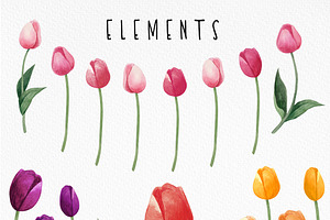 Watercolor Tulips Clipart Bundle