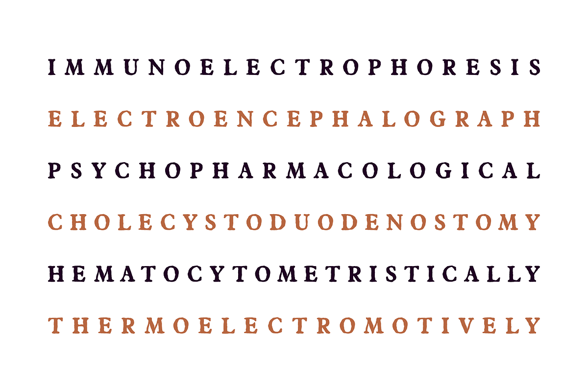 Castemire - Serif Typeface, a Serif Font by alpercakici (Photo 4 of 13)