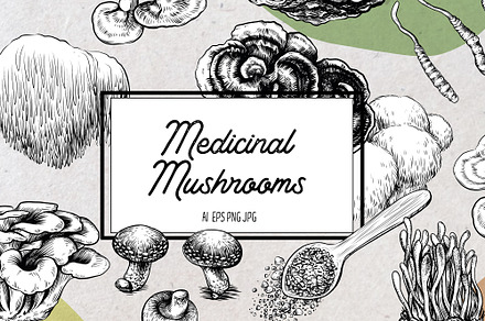 Medicinal Mushrooms, a Healthcare Illustration by Kalina Graphics shop