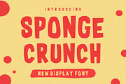 Sponge Crunch, a Handwritten Font by Fourteen Letter (Thumbnail 1 of 8)