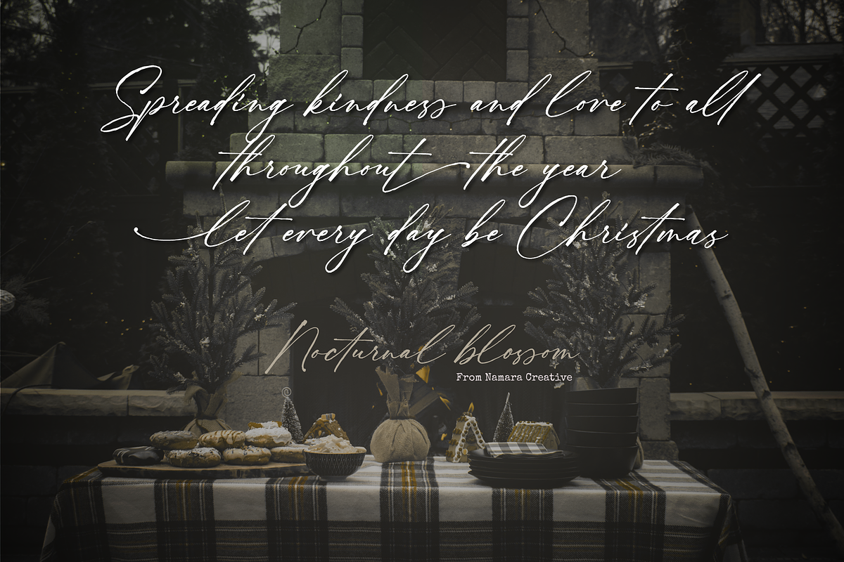 Nocturnal Blossom Handwritten Script, a Script Font by Namara Creative Studio (Photo 3 of 16)