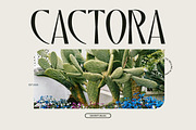 Qalodie - Elegant Modern Aesthetic, a Serif Font by roomspace creative lab (Thumbnail 4 of 13)