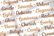 Nadlines - Script Family, a Script Font by Novitype (Thumbnail 7 of 13)