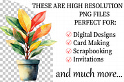Watercolor Home Plants Clipart, an Illustration by Daily.Designs (Thumbnail 2 of 8)