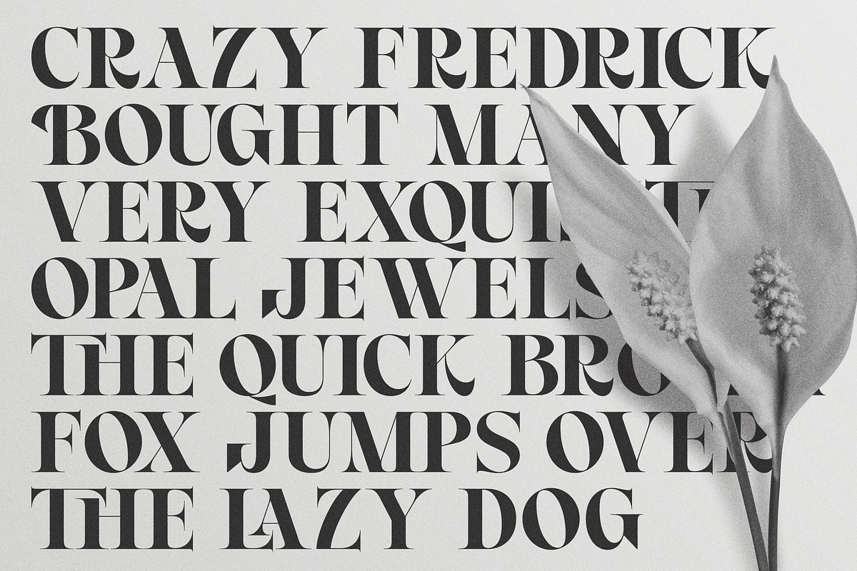 Royal Chapter - Modern Serif, a Serif Font by ErgibiStudio (Photo 10 of 12)