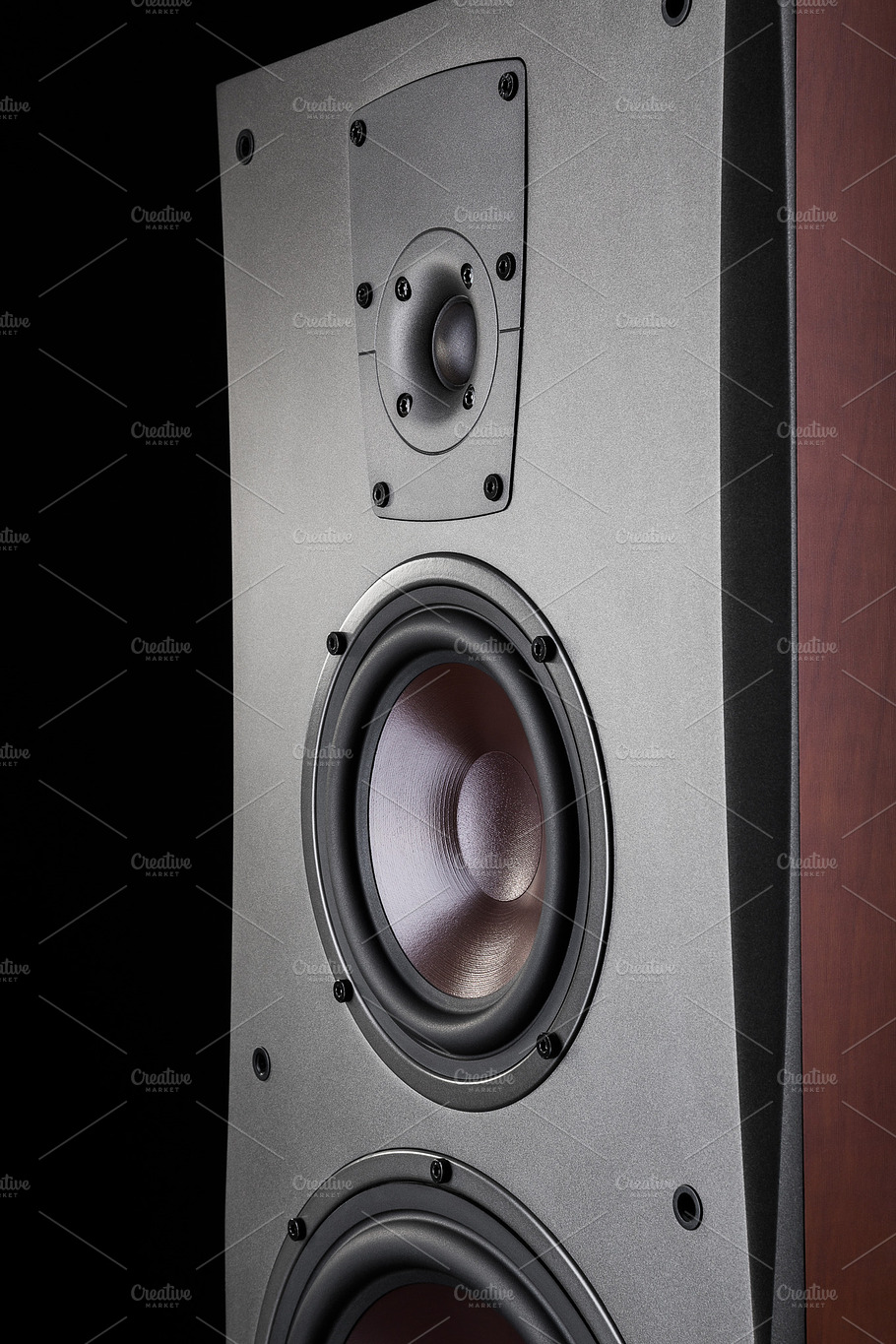 Audio Speaker Containing Isolated Gloss And Disco