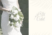 Botanical Hand Drawn Designs, Logos, a Seasonal Illustration by Designwork (Thumbnail 5 of 22)