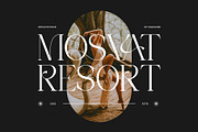 Franiva || Modern Elegant Serif Font, a Serif Font by Ermedia Studio (Thumbnail 7 of 10)