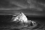 Lapponia Illustrated life in Lapland, an Animal Illustration by Nomad Visuals (Thumbnail 10 of 13)
