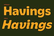 Orlive, a Sans Serif Font by Flavortype (Thumbnail 2 of 15)