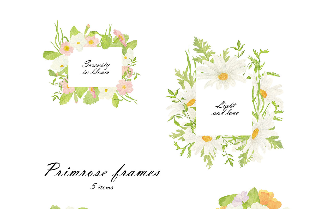 Primrose Watercolor Collection, a Decorative Illustration by Sunshine Art (Photo 6 of 8)