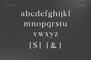 OV Cotin Serif Font Family, a Serif Font by OV Type (Thumbnail 2 of 16)