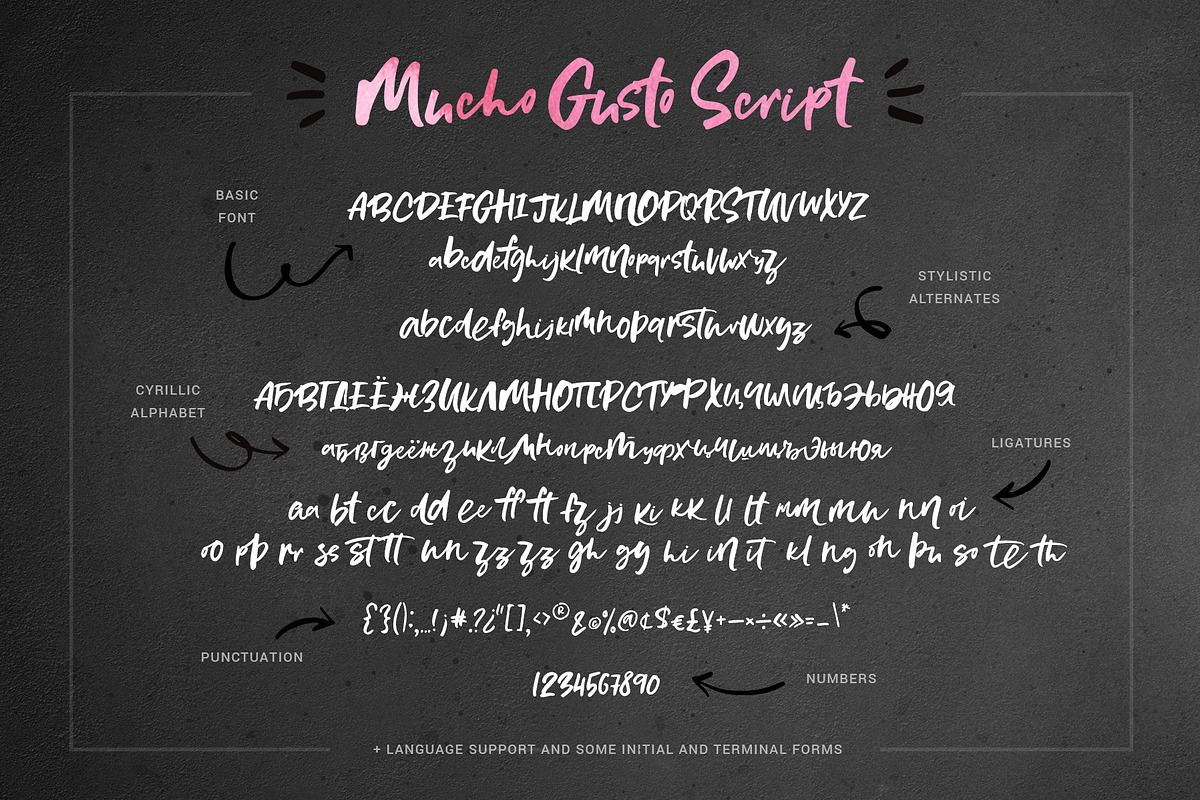Mucho Gusto Font Family preview 5