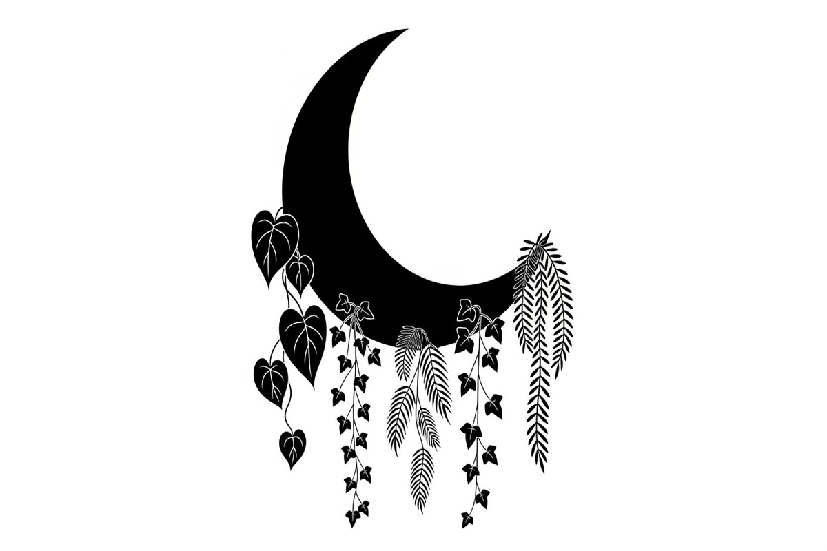 Hanging Moon with Plants Bundle, an Illustration by Designs_River (Photo 6 of 31)