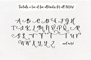 Farmland Acres | Script Font Duo, a Script Font by KA Designs (Thumbnail 28 of 31)