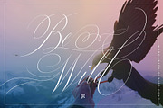 Margarita Light, a Script Font by Ivan Rosenberg (Thumbnail 7 of 10)