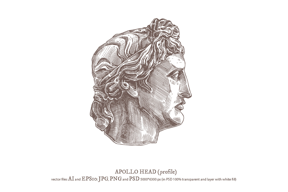 Apollo Belvedere Illustrations, an Illustration by alexrockheart (Photo 3 of 13)