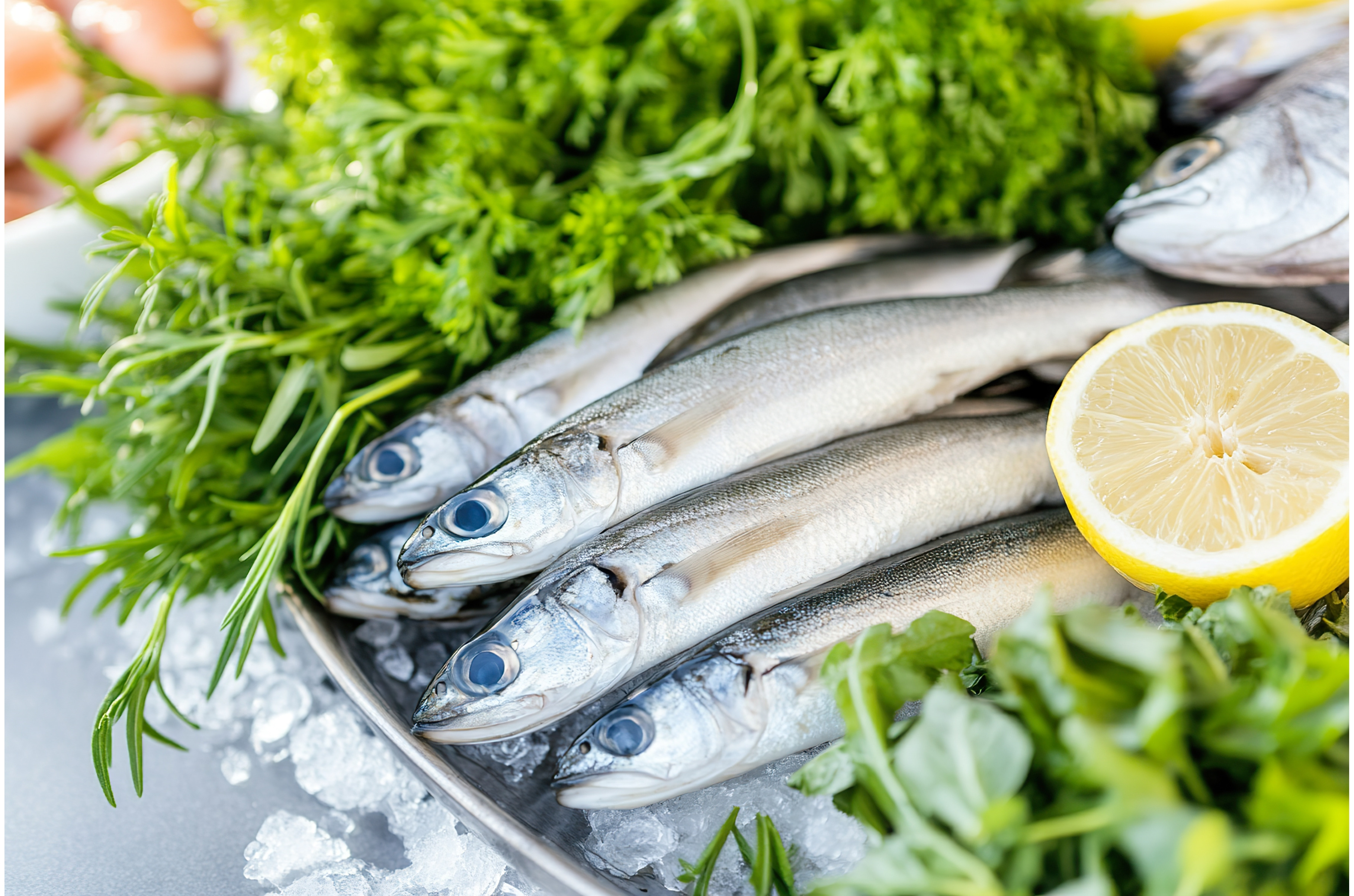 Fresh silver fish with greens and, a Food & Drink Photo by Lermont51 | Creative Market Fresh silver fish with greens and, a Food... 