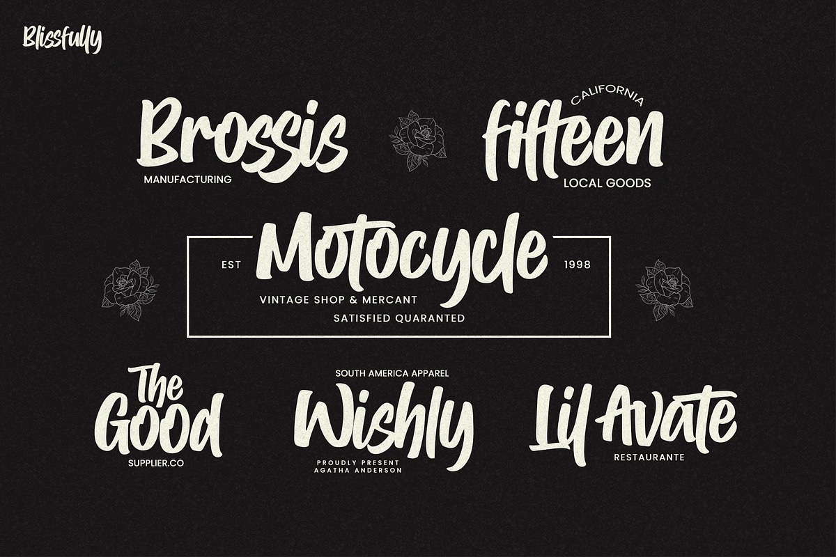 Blissfully – Brush Script Font, a Script Font by Gassstype (Photo 8 of 8)