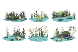 Ponds compositions. Aquatic plants, an Object Illustration by YummyBuum