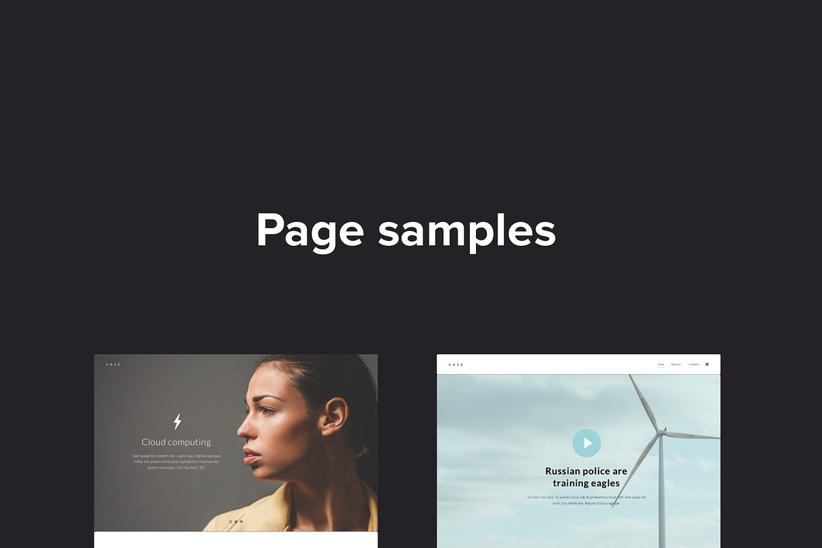 CASE UI Kit, a Templates & Theme by Burocrate shop (Photo 5 of 5)
