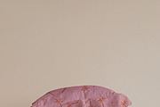 Desert Rose Botanicals Collection, a Pattern Graphic by Nora Gad (Thumbnail 13 of 19)