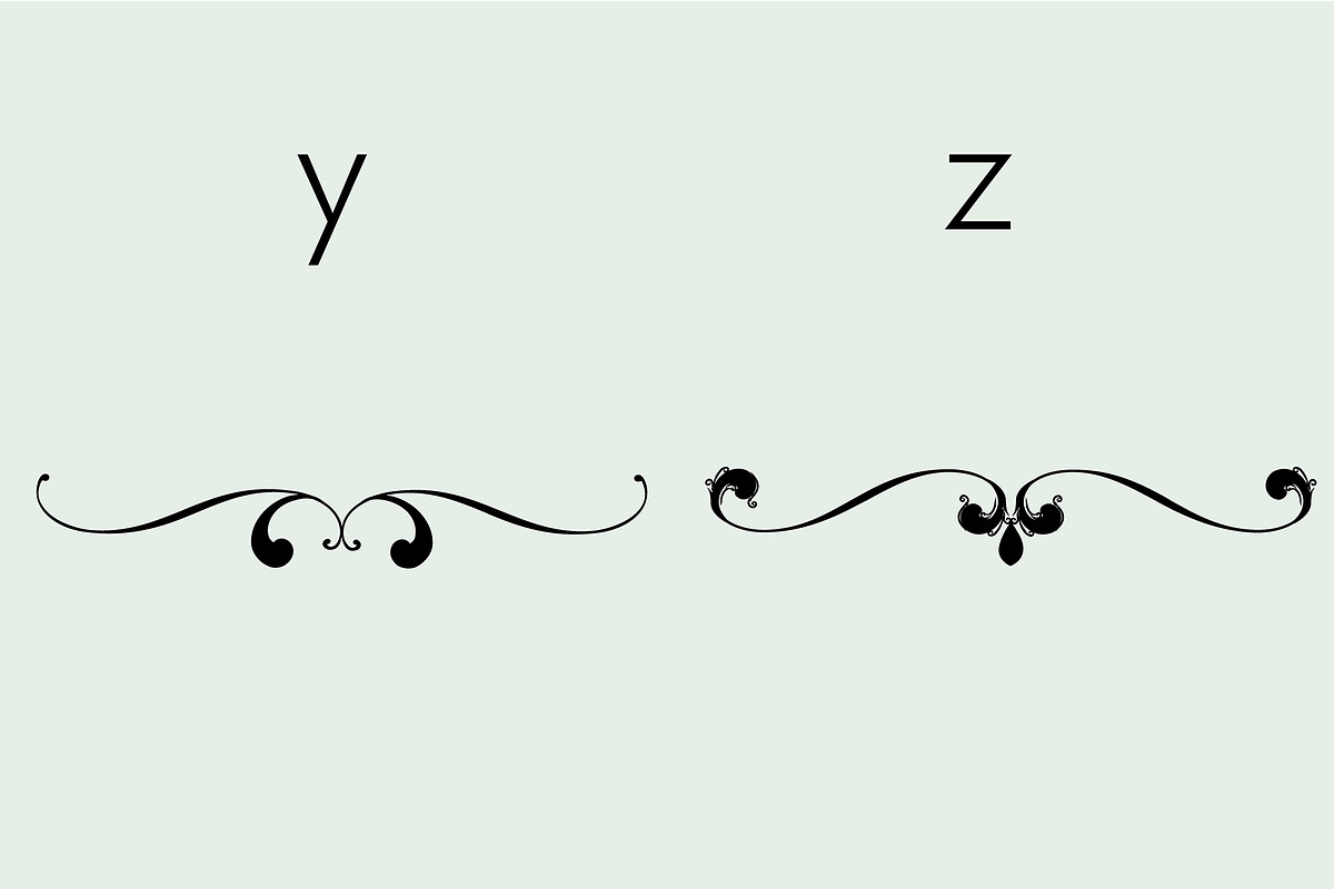 Flourishes Dividers &Swirls Dingbats, a Symbol Font by Minimalartstudio (Photo 8 of 9)