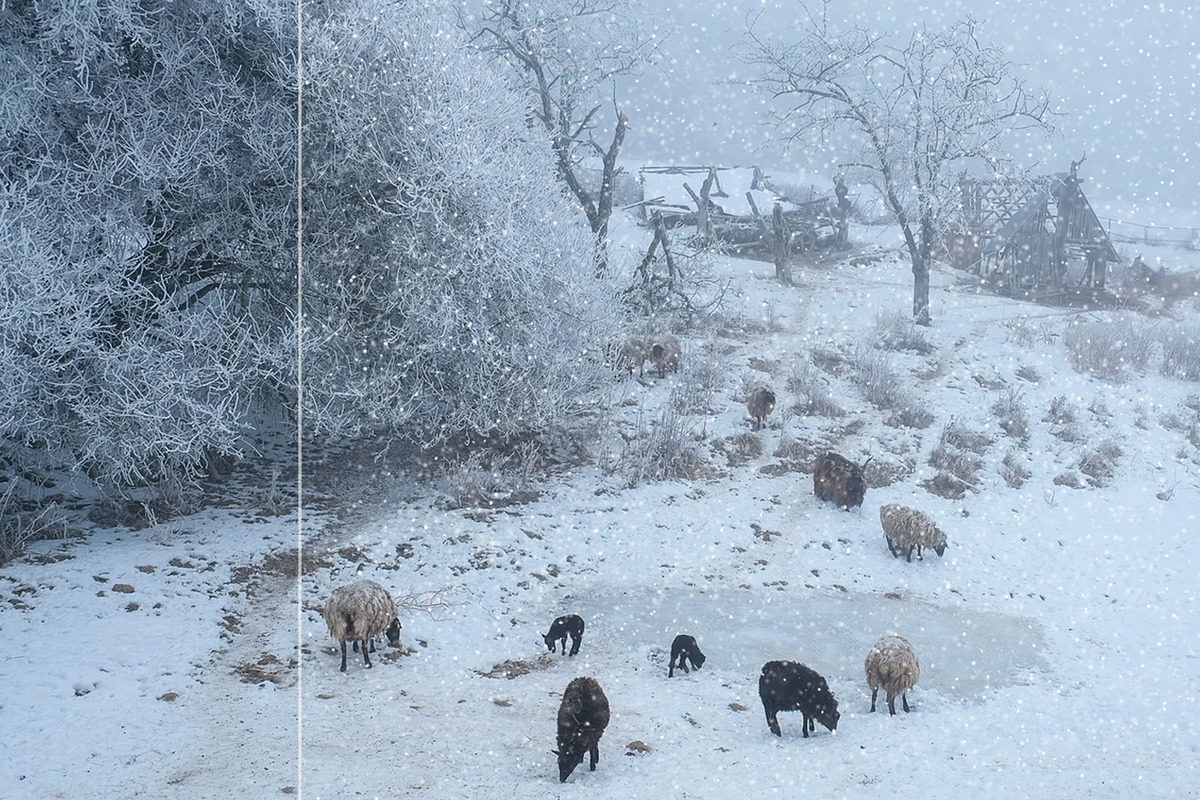 Snow Overlays, an Object Graphic by Norse Moss (Photo 5 of 12)